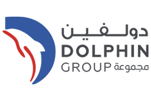 Dolphin Group logo